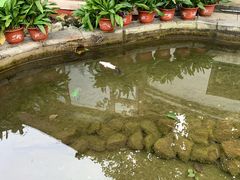 -红螺寺