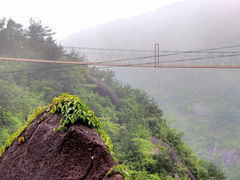 -玉苍山国家森林公园