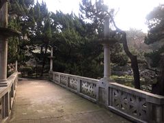 -叶家花园