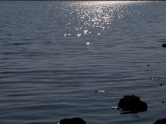 -贡湖湾湿地公园