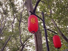 -杭州黄龙洞