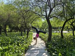 -长春公园(普阳街道)