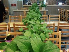 -李先生牛肉面大王(华联商厦店)