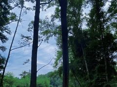 -桤木河湿地公园