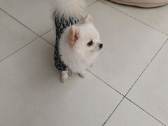 -怪兽屋·羊驼·猫咖·狗咖(俊华广场店)