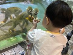 -华夏文旅海洋公园