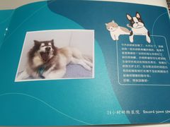 -美联众合动物医院·24h转诊中心