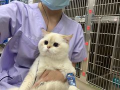-立德动物医院·24小时中心(番禺区院区)