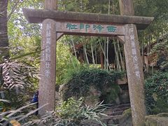 -西泠印社