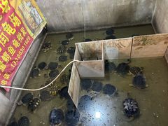 -龟场私房菜