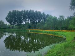 -东郊湿地公园
