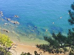 -棒棰岛宾馆景区
