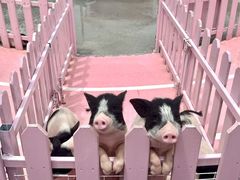 -渔岛海洋度假区