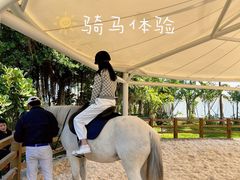 -珠海海泉湾神秘岛亲子乐园