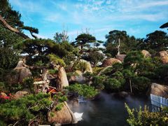 -罗红摄影艺术馆