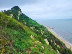 -广东茂名森林公园