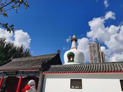 -西塔