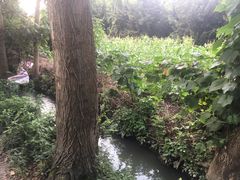-醉二娘正宗西昌火盆烧烤(大丰店)