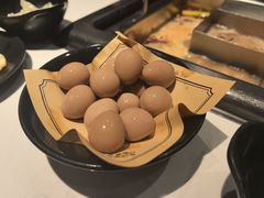 -鼎膳常火锅(华阳店)