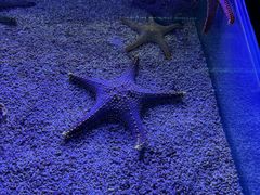 -皇家极地海洋世界-售票处