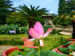 -国家植物园南园