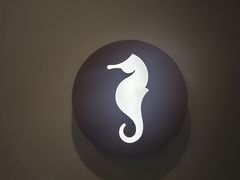 -海马体大师店(广州天汇广场IGC大师店)