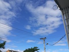 -严氏皓杰水牛奶(温岭店)