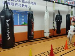 -体育科代表搏击散打体能训练馆(陶然亭店)