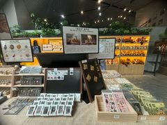 -北京周口店北京人遗址博物馆