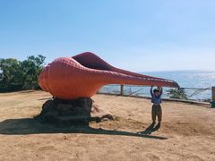 -漳州滨海火山岛自然生态风景区
