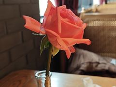 -马仕玖煲·融合菜·酥不腻烤鸭(人大店)