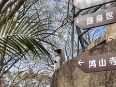 -鸿山公园