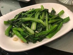 油渣炒菜心-美极鲜食坊(宝安南路店)