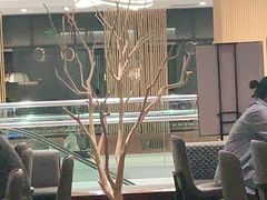 -Hatsune隐泉日式料理(SKP店)