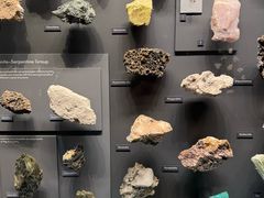 -美国自然历史博物馆