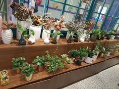 -BOBLOOM花店(宝龙旭辉广场店)