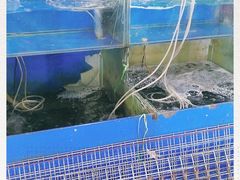 -四道口水产市场