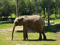 -哈尔滨北方森林动物园