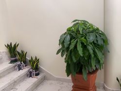 -海涛医疗美容·面部抗衰·注射美鼻