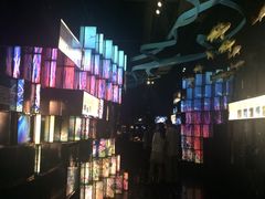 IMG_1563-同济大学四平路校区深海探索馆