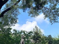 -西安碑林博物馆