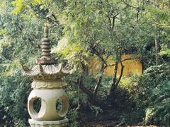 -虎跑公园