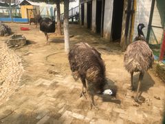 -武汉紫薇都市田园