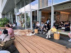 -SAANCI山池咖啡(海上世界文化艺术中心店)