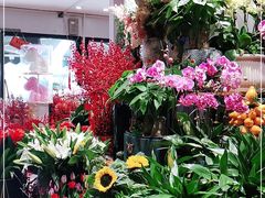 -沪花拾者(好再来花卉鲜花店)