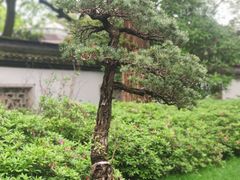 -杭州植物园