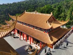 -东莞市大岭山森林公园