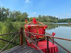 -溱湖国家湿地公园