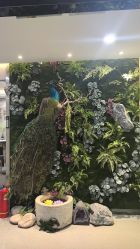 点击看大图 -北京炫美医疗美容