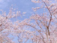 -龙美术馆(西岸馆)